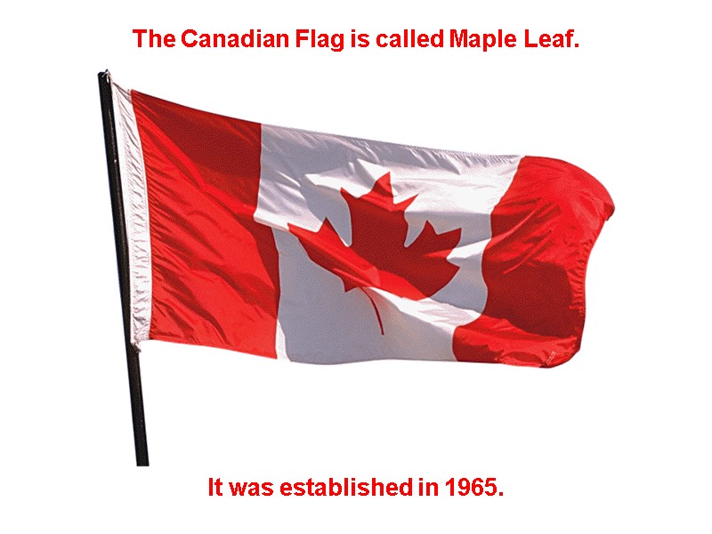 It was established in 1965. The Canadian Flag is called Maple Leaf.